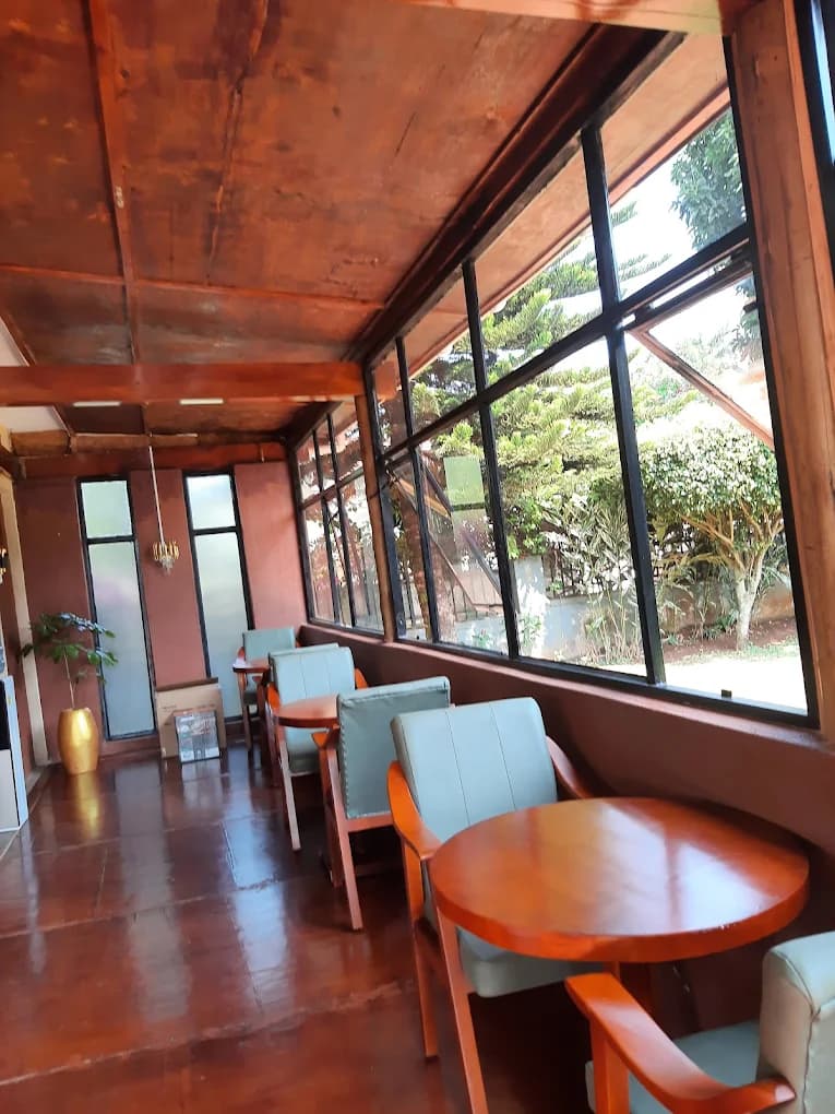 The sunlit veranda overlooking the garden